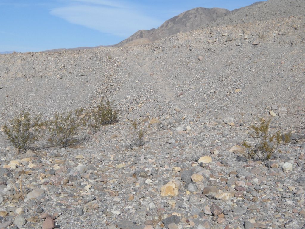 On the other side of the Fall Canyon wash, a small trail climbs up the bank: