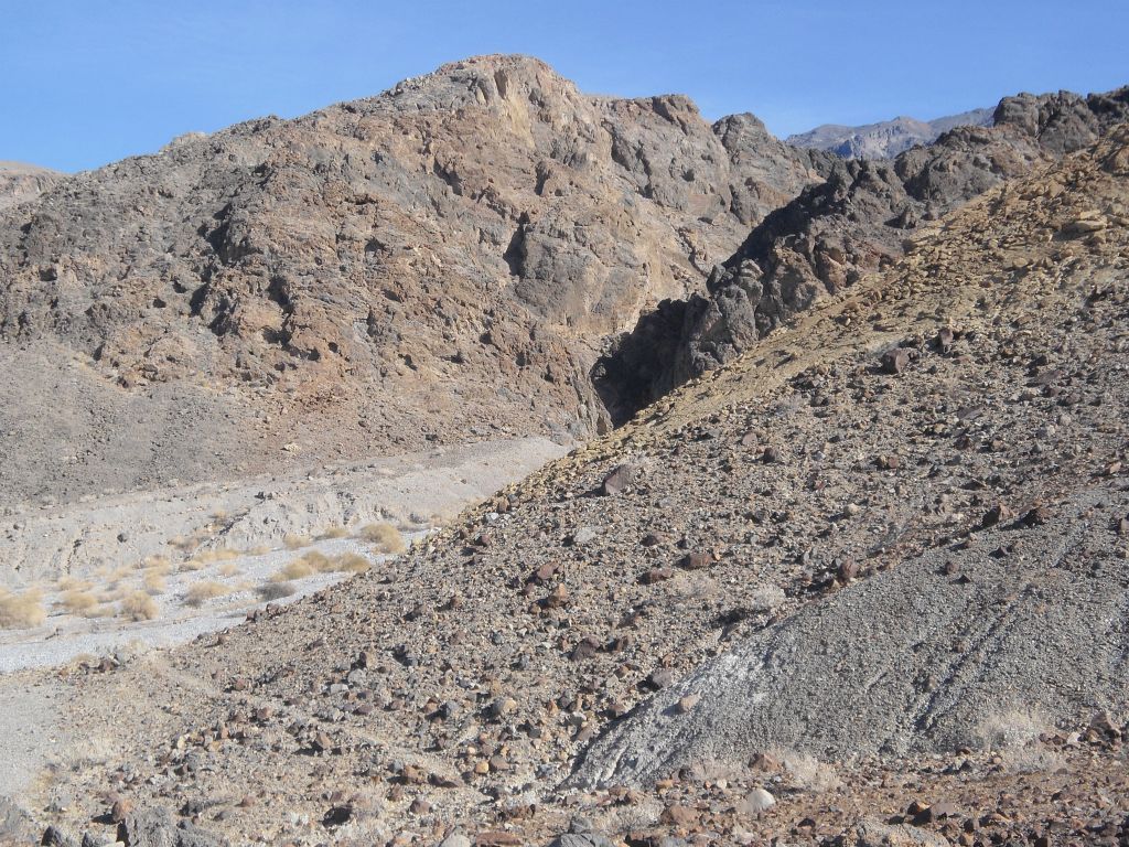 The trail eventually drops you into the wash of Palmer Canyon: