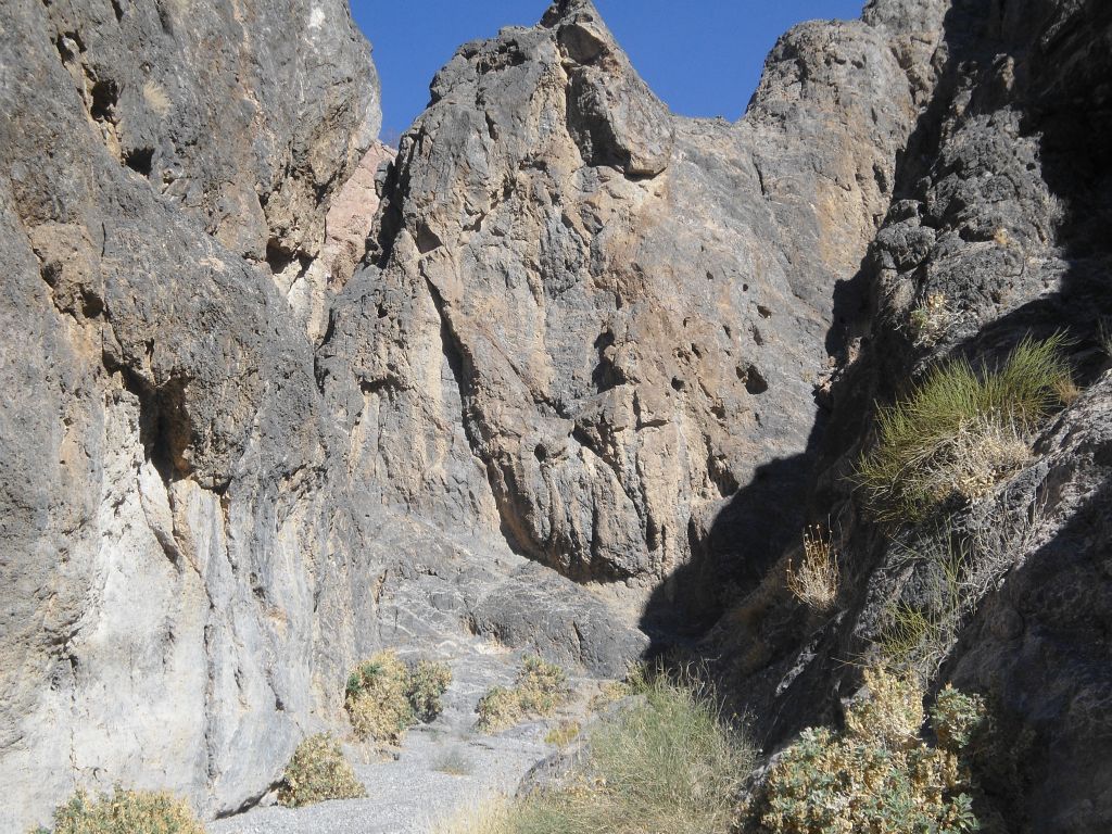 Heading into the 2nd narrows of Palmer Canyon just ahead: