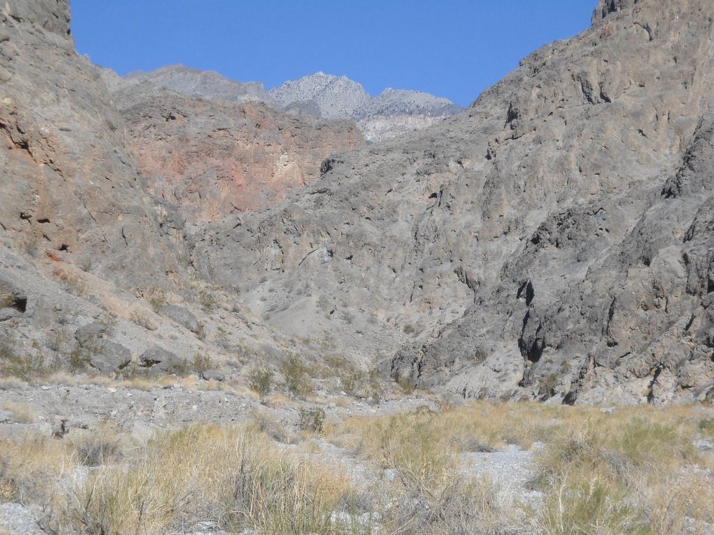 As we entered the gorge area, we had our first view of Mount Palmer far in the distance (top of picture):