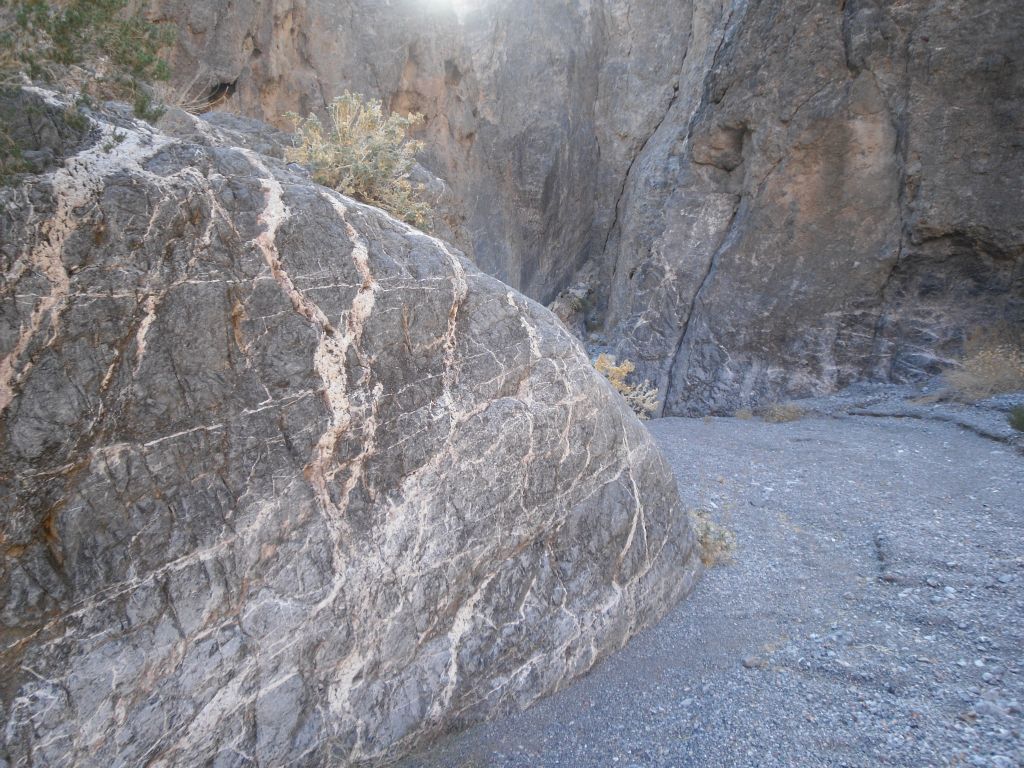 White veins cutting through the rock of the canyon: