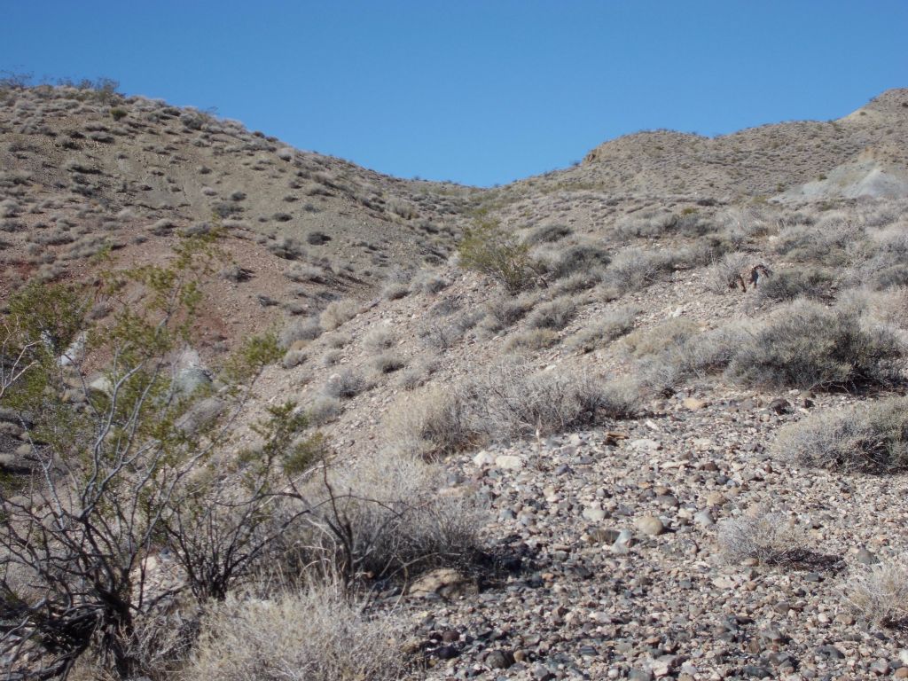 As we headed towards the divide, we ascended the ridge above the wash: