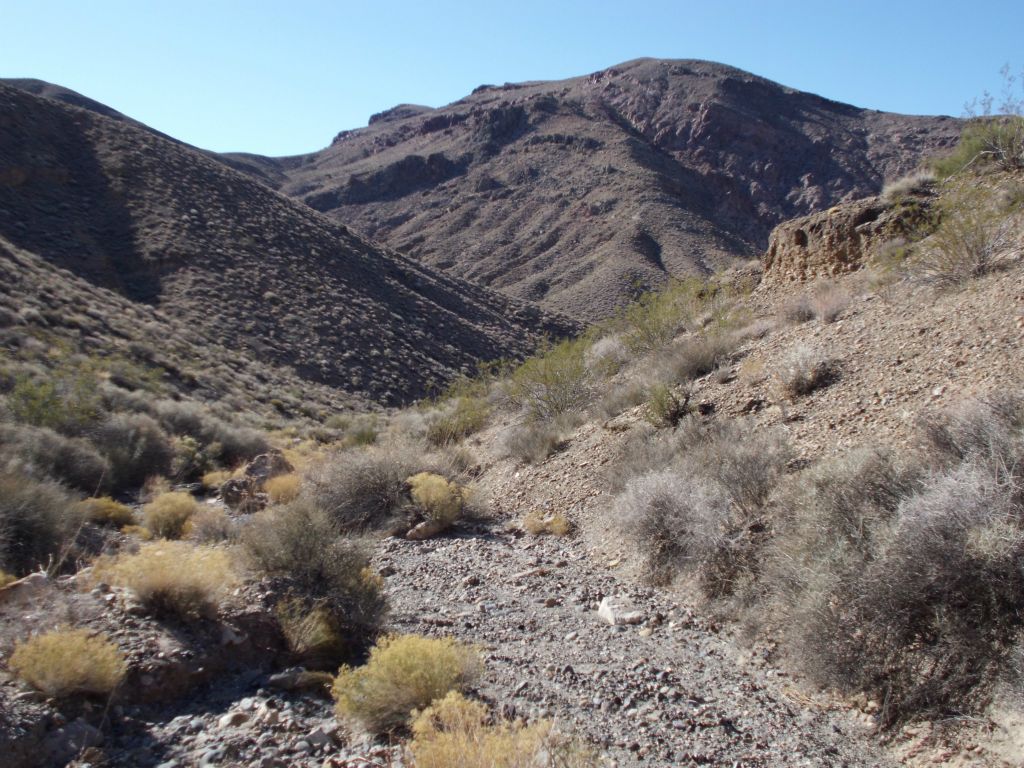 We immediately dropped into a small wash which began descending to the left: