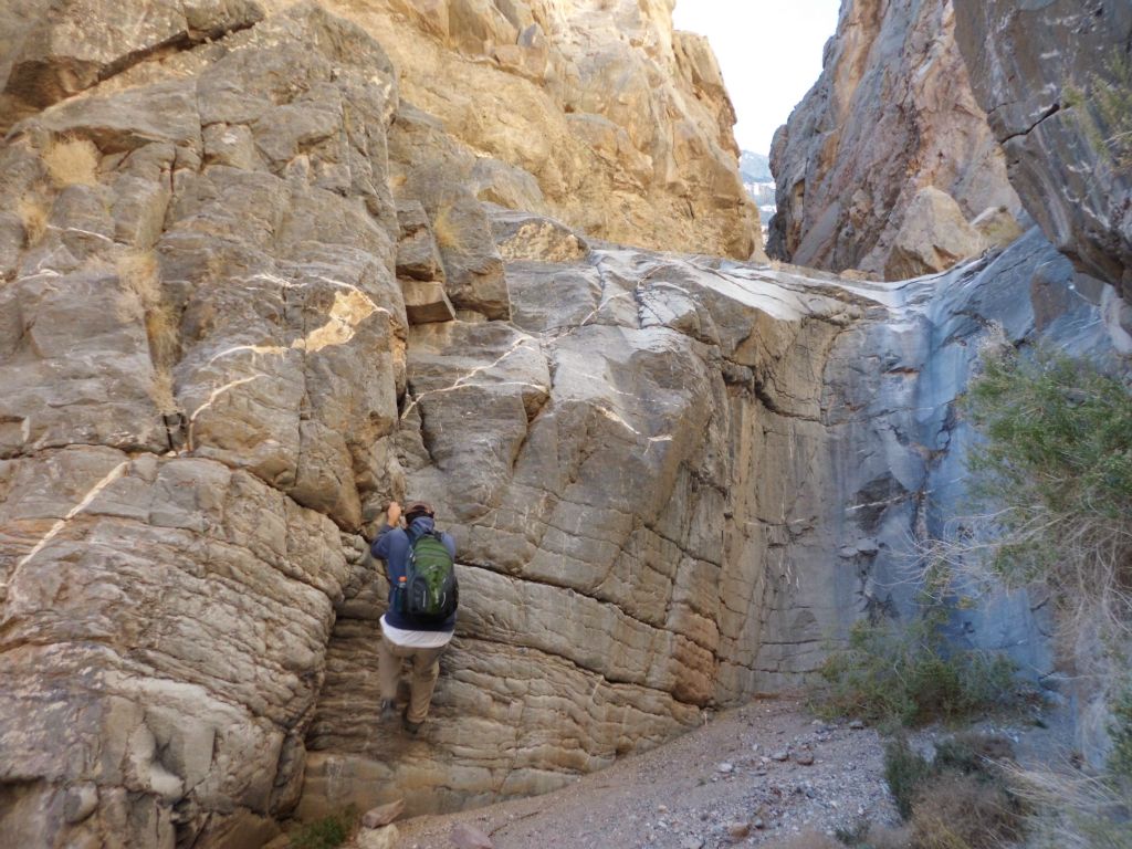 Steve spots a potential climbing route to the left of the 2nd dry fall and tries to pull himself up.  (Note: there is a way to bypass this fall on the right side of the canyon just before reaching the dry fall):