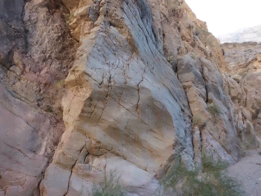 The walls of Upper Fall Canyon remain polished and beautiful even this far up the canyon: