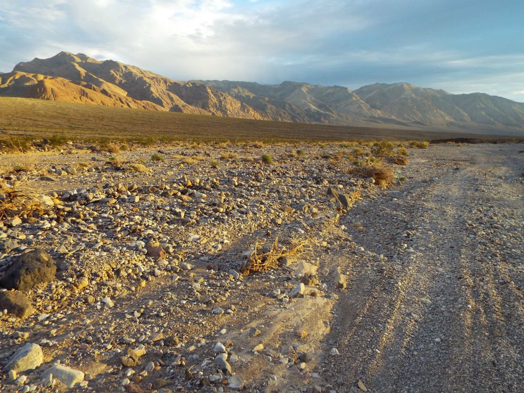 Here is where we parked and set up camp for the night, partway between Steel Pass and the Saline Valley warm springs: