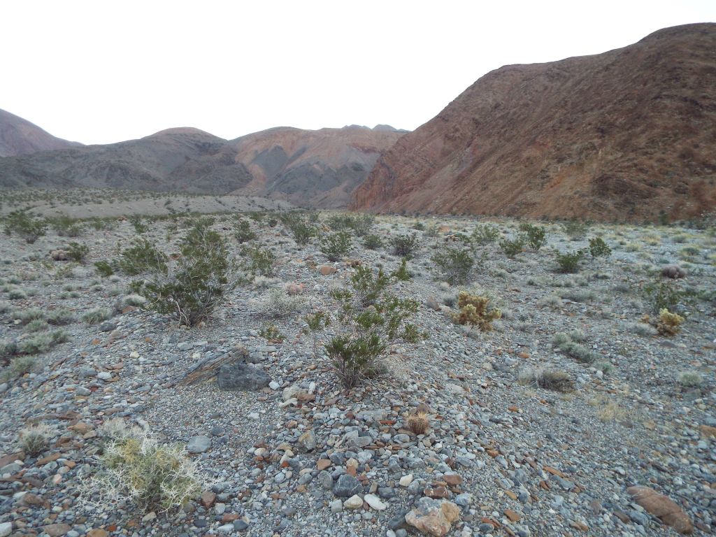 The next morning we were up before sunrise and hiking towards the canyon: