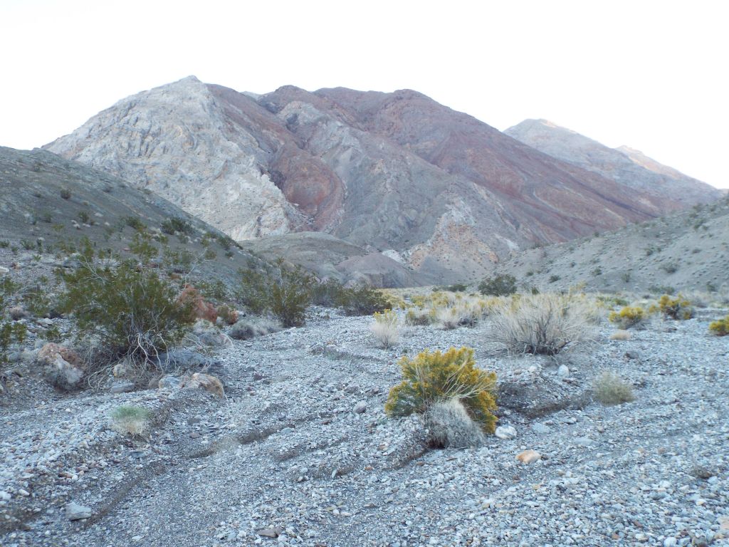 Up ahead, you can see that there will be a canyon split, with the main canyon turning left and a side canyon heading off to the right: