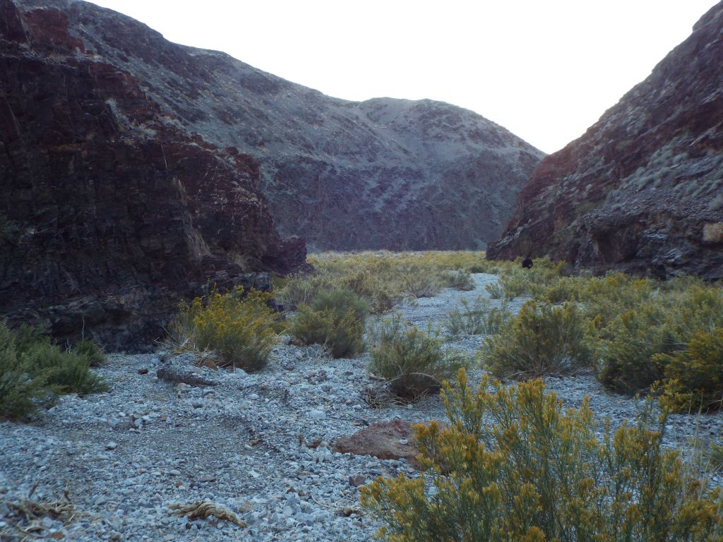 Looking back down the canyon at Mel as he hiked through the brush: