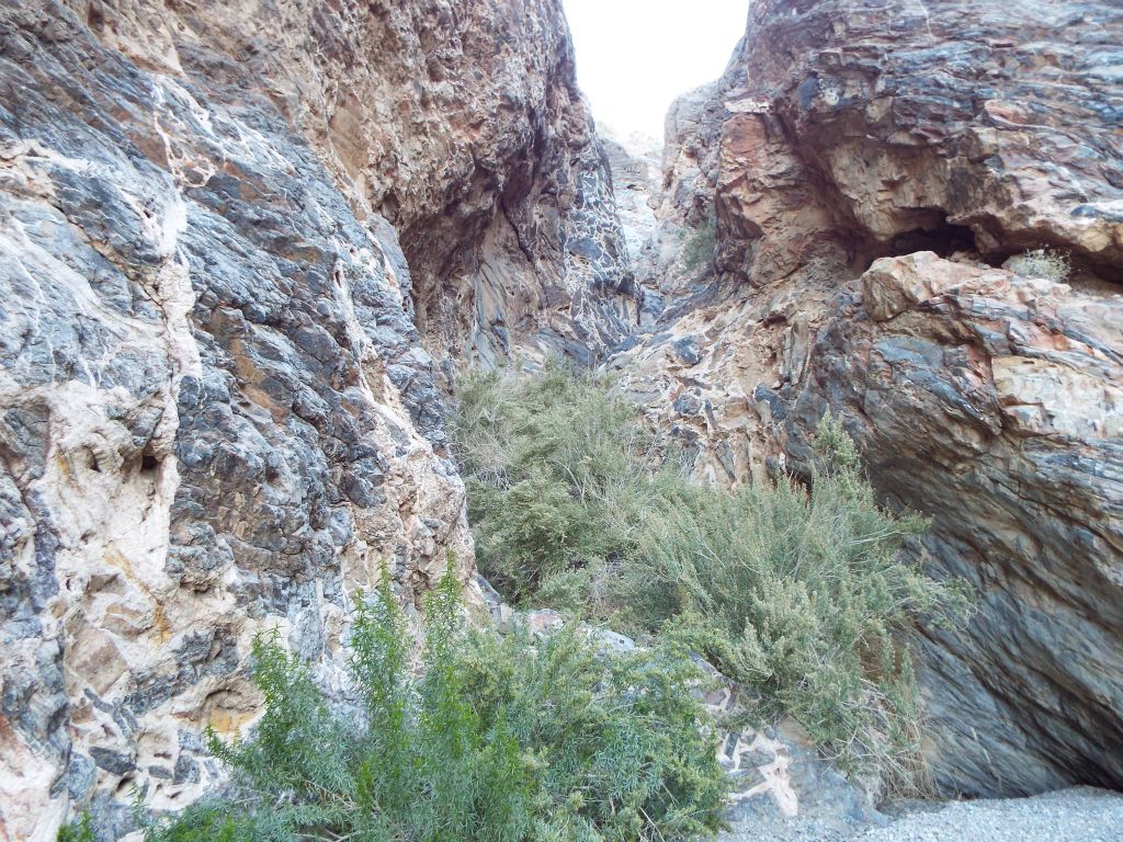 Not knowing which way to go to stay in the main canyon, we first turned to the left: