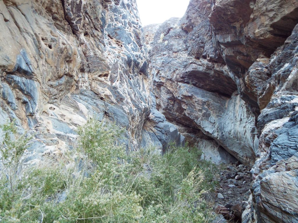 These narrows were windy, tight, and choked with brush: