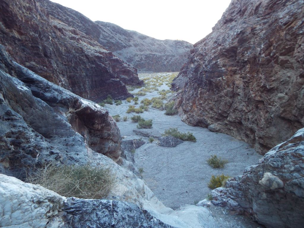 From the top of the main 1st obstacle, this is the view looking back down canyon.  We weren't looking forward to going back down the dry fall later in the day: