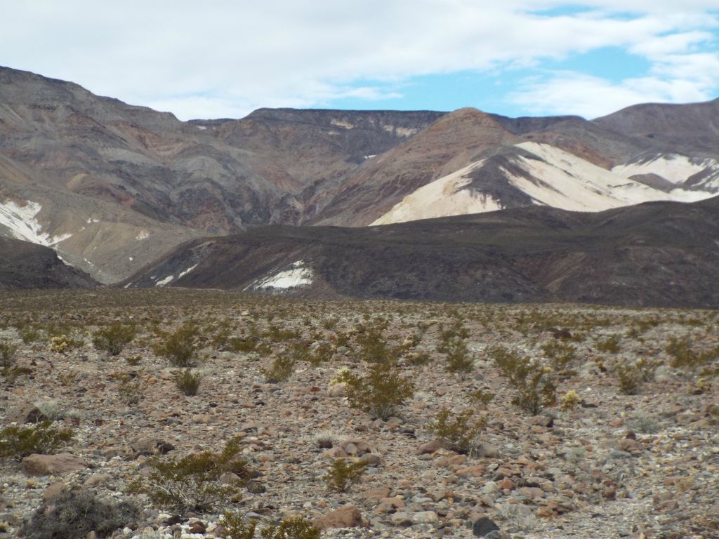 The white hills of Chalk Canyon are very distinct in the distance and thus it is easy to find your way on this hike: