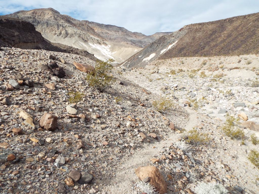 At the high point of the hillside we were walking along, this old miners trail leads down into the wash: