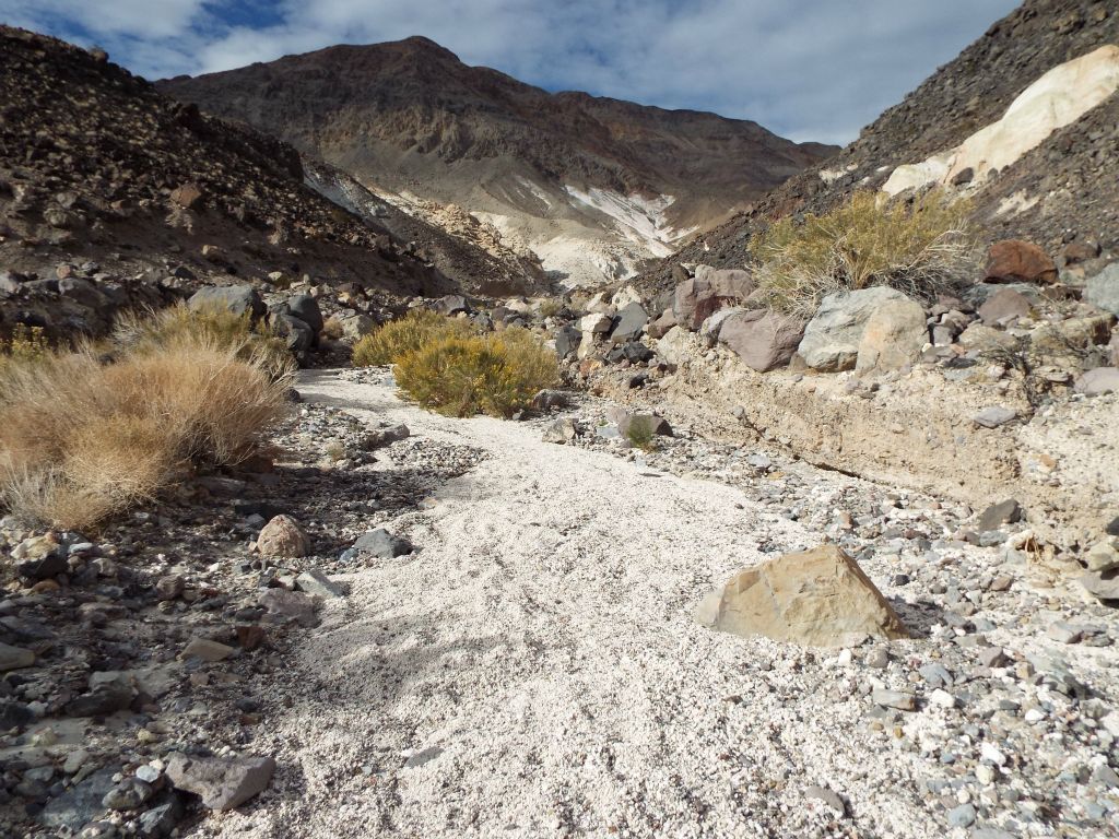 Now in the main wash of Chalk Canyon.  The hike to this point had been a steep and challenging one mile: