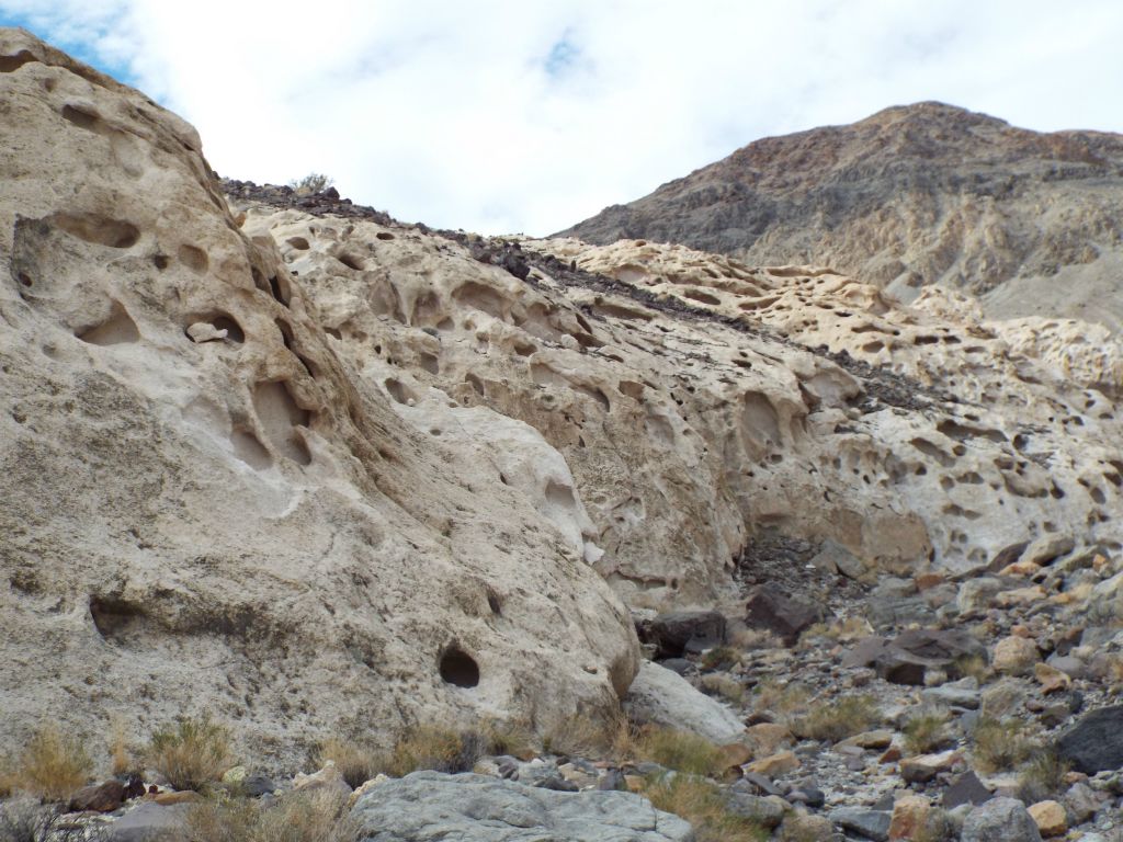 Interestingly, the beginning of Chalk Canyon contains hillsides of tafoni formations: