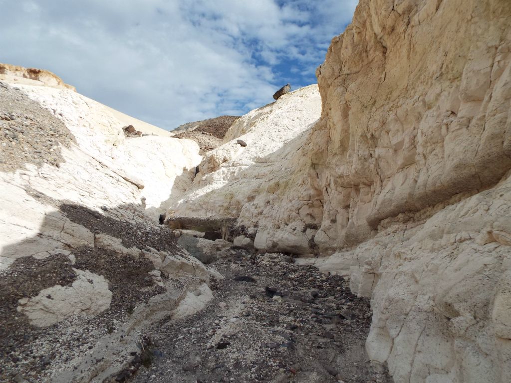 White walls began to take shape on both sides of the wash: