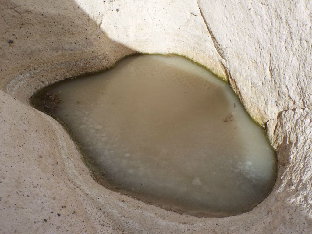 Zooming in on the small frozen pond of water.  Perhaps this will melt in a couple of months and provide some water for passing Bighorn sheep: