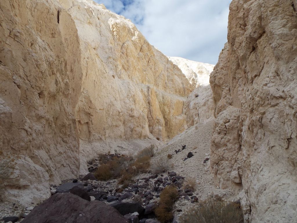 Notice how some darker colored rock has been washed down the canyon in flash floods: