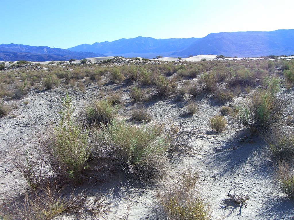 We woke up the next morning and began the walk out to the dunes across some very easy terrain: