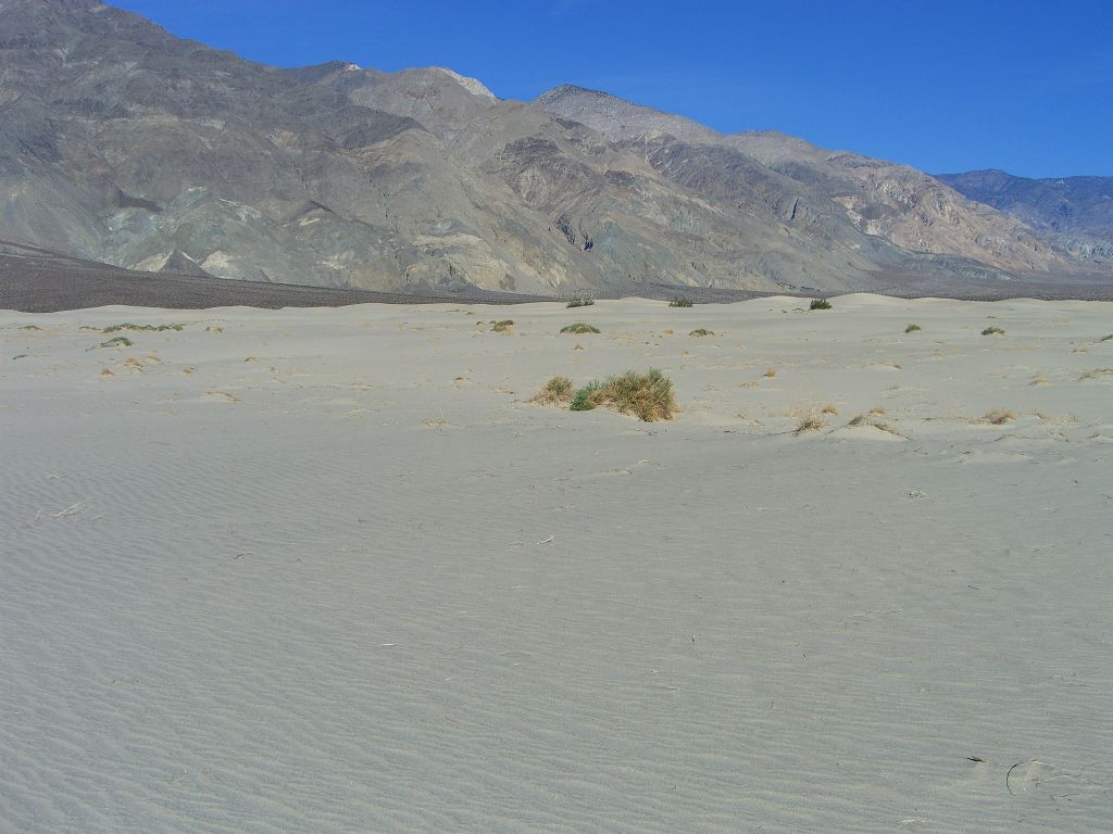 View to the northwest.  The Saline Valley Road continues driving past the dunes, as many people head for either North Pass or the warm springs: