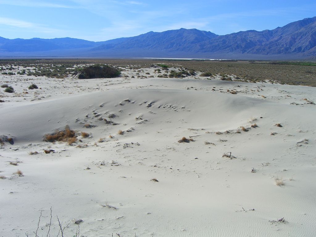 Far off in the distance you can see the Saline Valley Salt Lake in this picture, which was taken looking south: