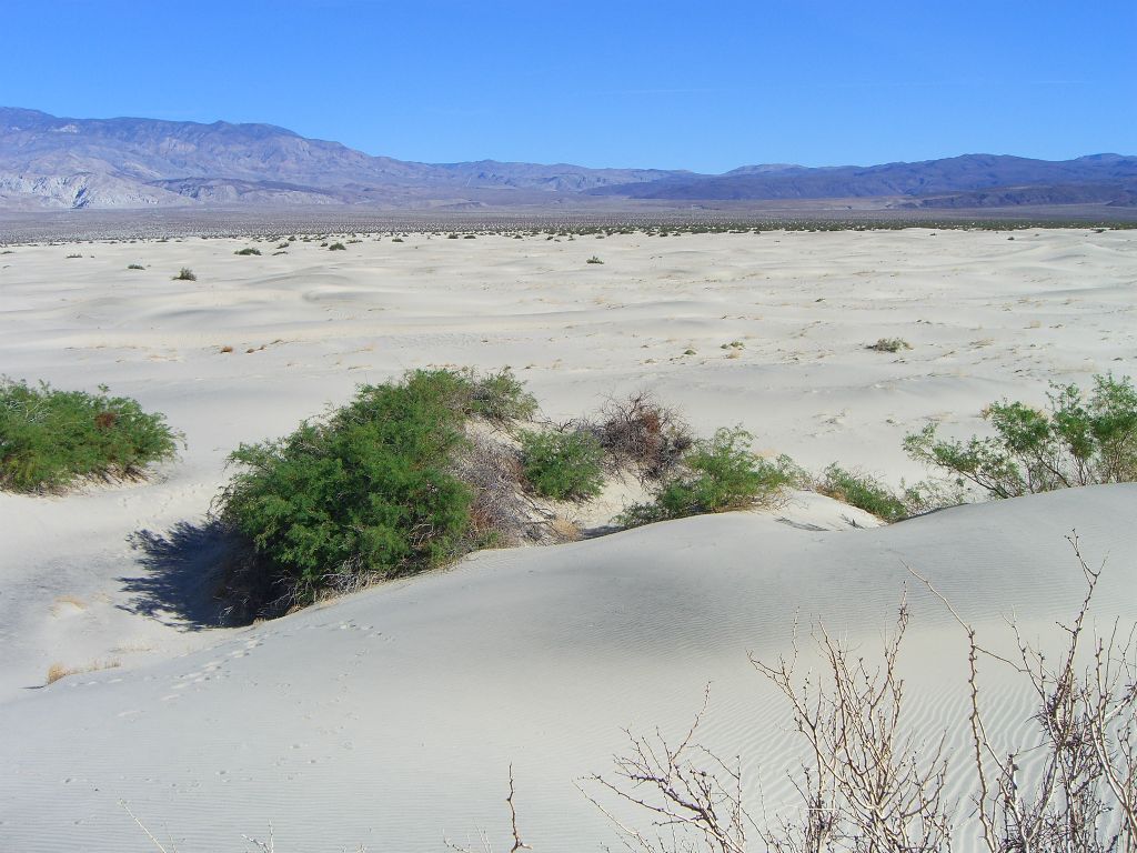 A great vantage point to see the vast dune fields looking to the southeast: