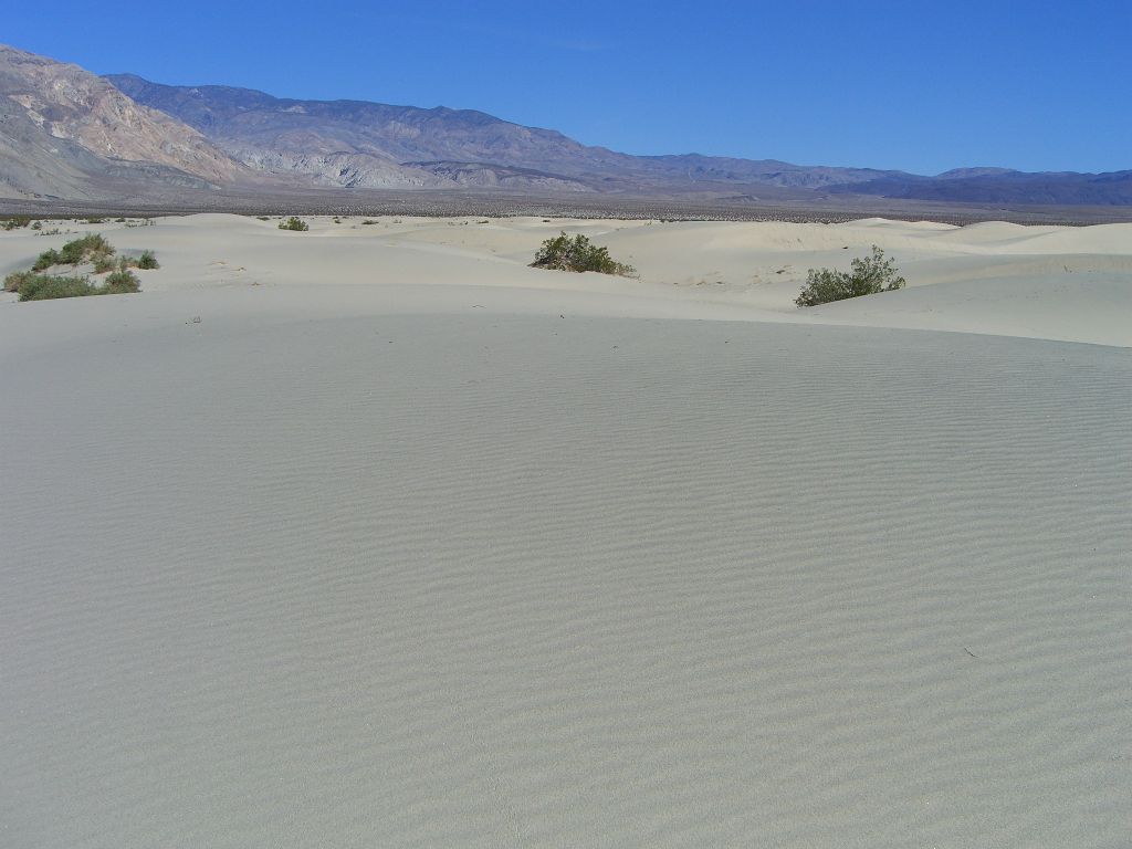 One final picture before saying goodbye and heading on to explore more of Saline Valley: