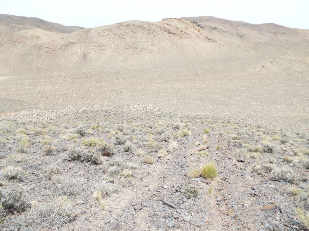 The hike begins with a very steep descent down the old closed road: