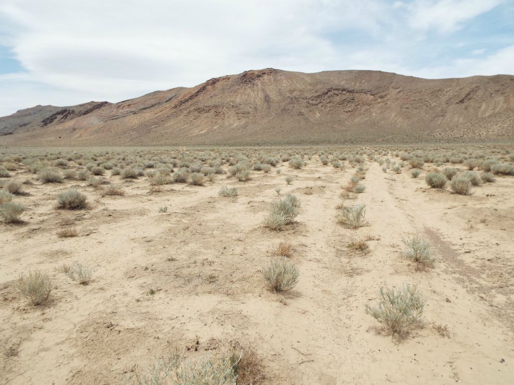 Once on the valley floor, we hiked through soft powdery dirt.  I heard that when vehicles were still allowed down in this valley, they would sometimes get stuck in the mud through here: