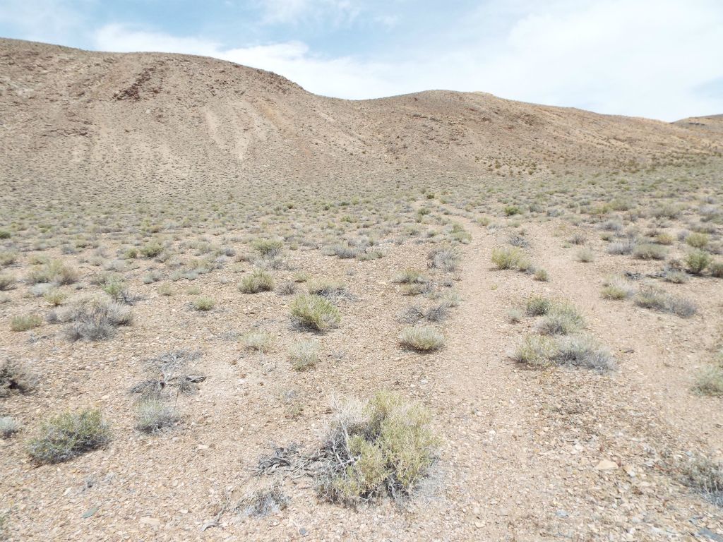 We stayed to the right at the junction and followed this fork of the road up a small wash: