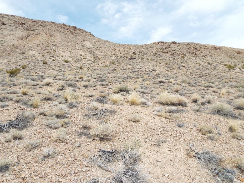 We chose this spot to leave the road and begin climbing up toward the 2nd ridge: