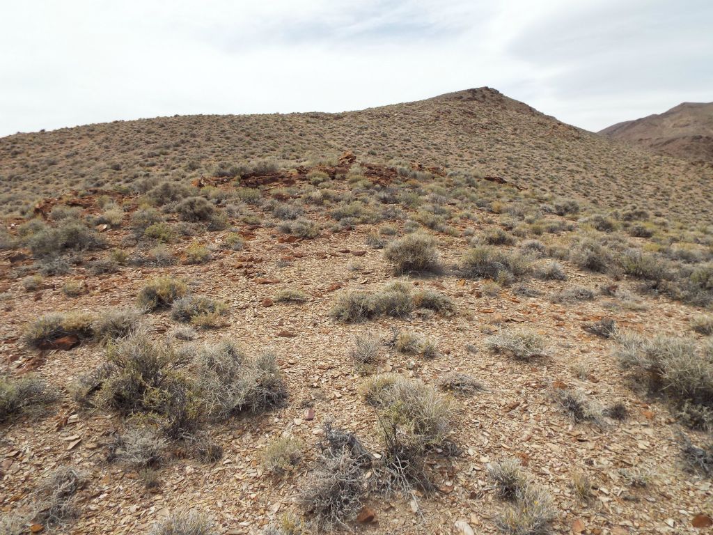 On the 2nd ridge, we turned left and began following it uphill for almost 1/2 mile: