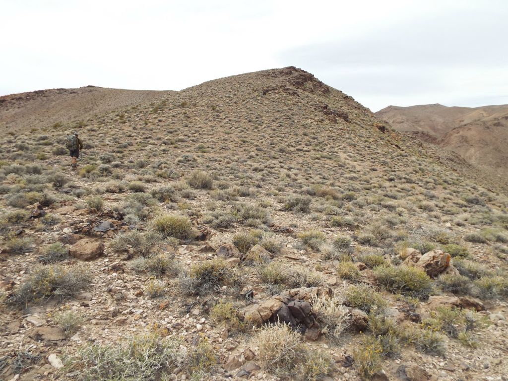 Charlie up ahead leading the way along the 2nd ridgeline: