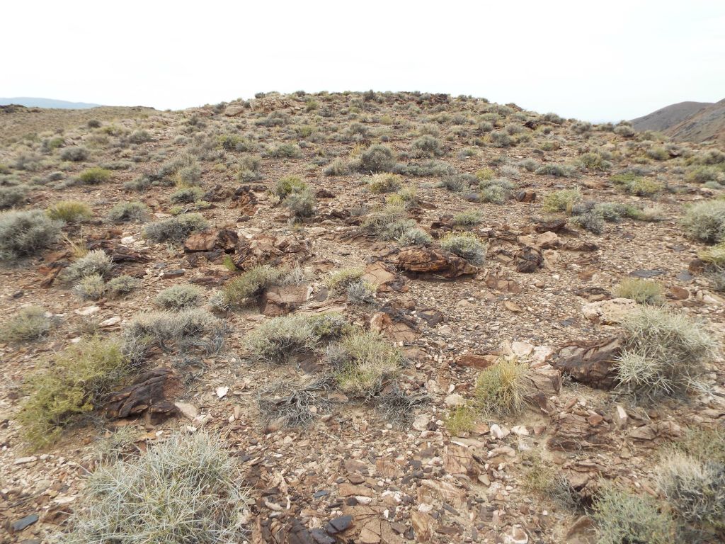 Just about to our high point along the 2nd ridge where we would head down into the 2nd valley: