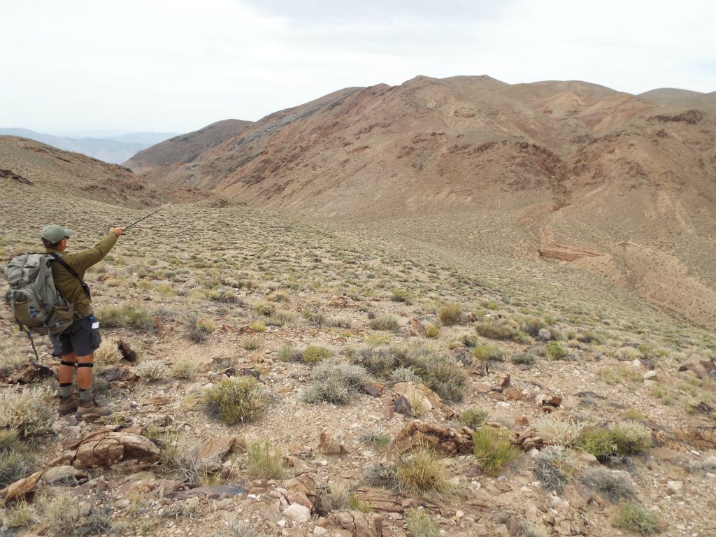 One of the aspects of hiking Tucki Mountain is that figuring out the best routes up the ridges and through the terrain can be quite confusing.  Here, Charlie can be seen pointing toward the 3rd ridge: