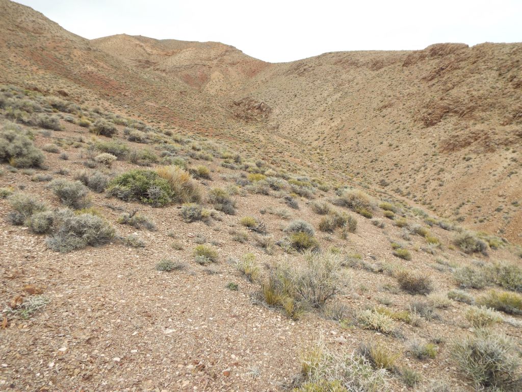 Notice that above the steepest part, the minor canyon off to the right also levels off a bit: