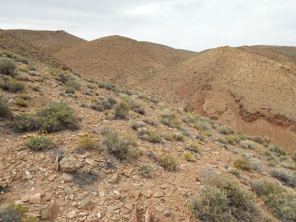 Eroding cliffs that are falling away were above the canyon off to our right while hiking up: