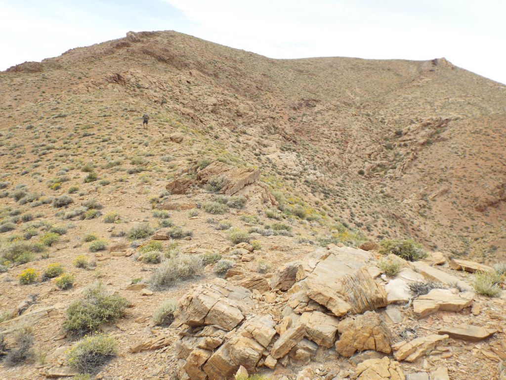 To reach the top of the 3rd ridge, we would need to hike up to the high point on the left and then cross over to the high point on the right: