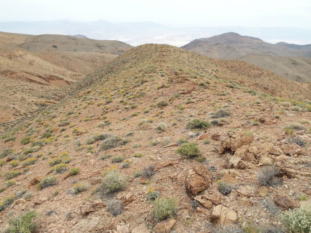 Looking back down a flat section of the ridgeline which seems to tower above the surrounding landscape: