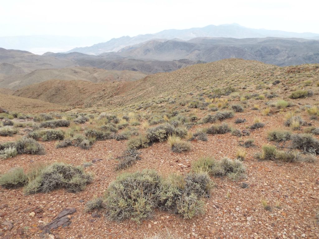 Completing the 1,100 feet of elevation gain necessary to go from the 2nd valley to the top of the 3rd ridge and looking back down: