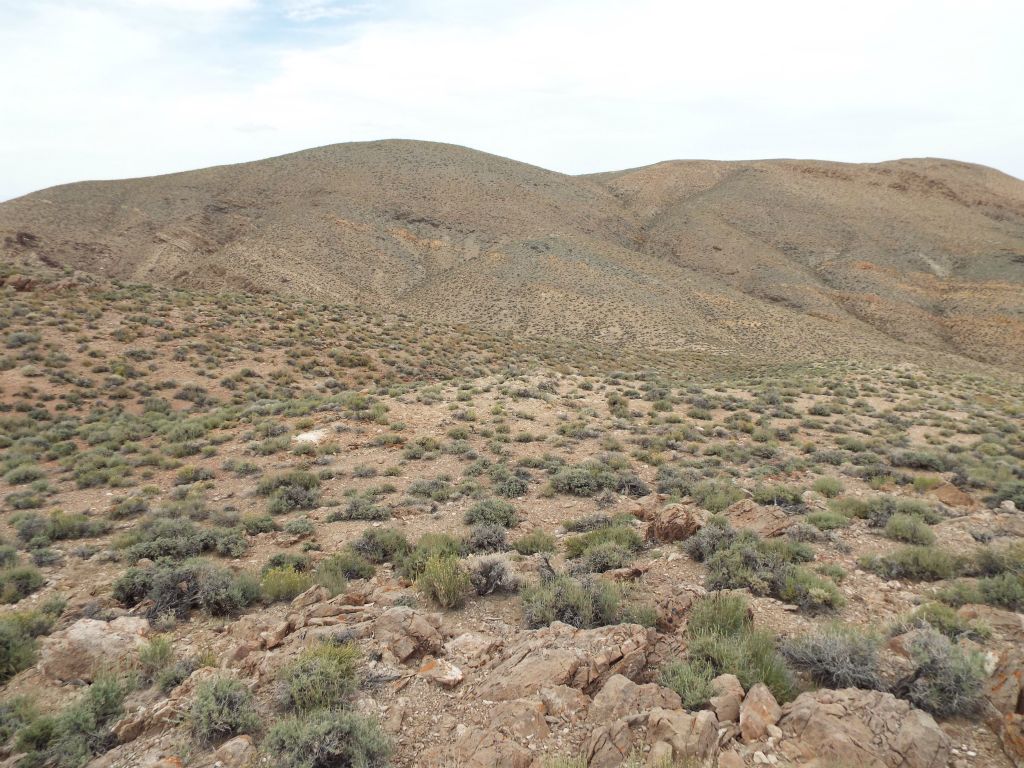 View of the summit (left side) as seen from the top of the 3rd ridge: