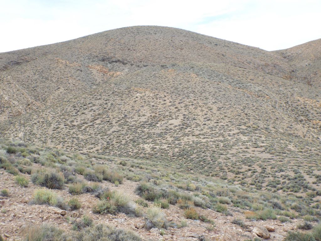 To reach the Tucki summit, you have to drop down into the 3rd valley and climb up to the 4th ridge: