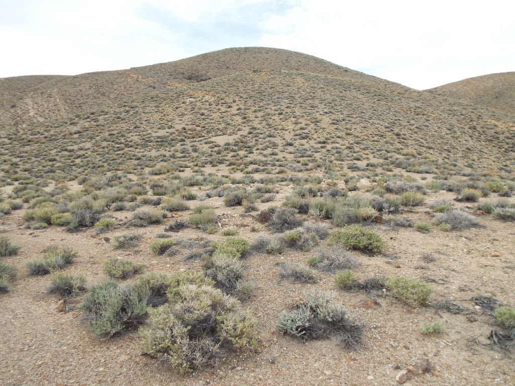 It is about a 200 foot drop down into the valley and then a final climb of 350 feet to reach the summit: