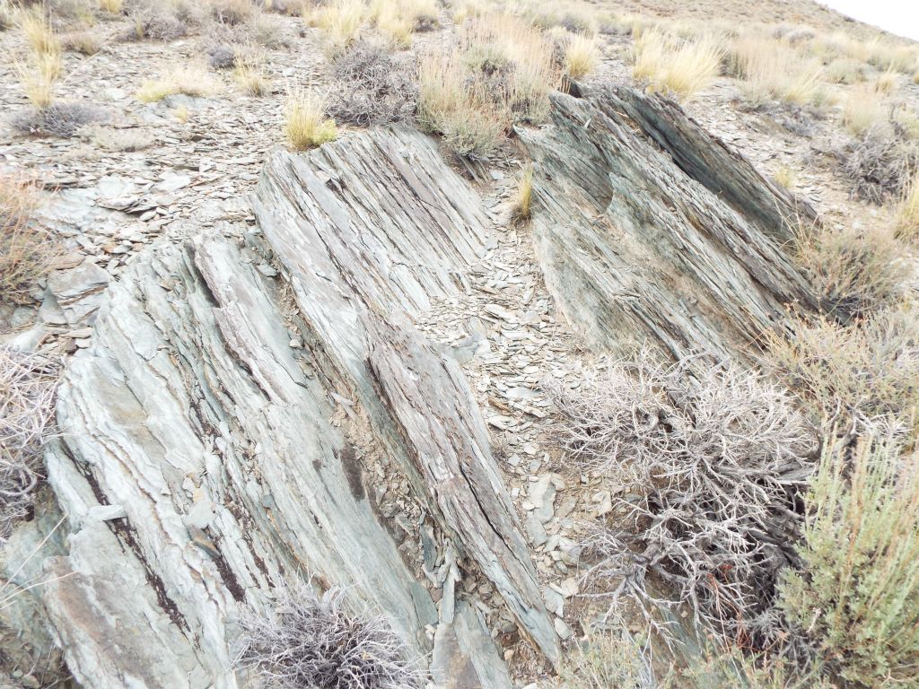 An outcropping of shale rock seen on the way up: