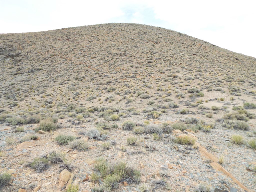 Final climb to the rounded summit bump and top of the 4th ridge: