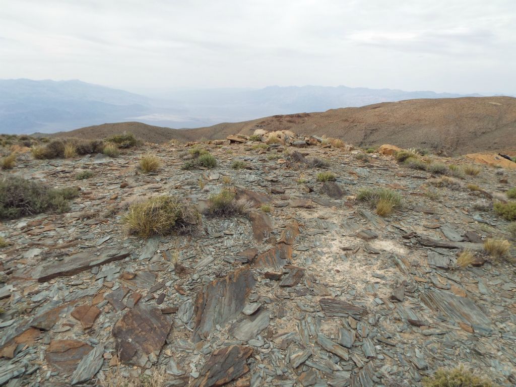 This is what it looks like at the actual summit of Tucki Mountain: