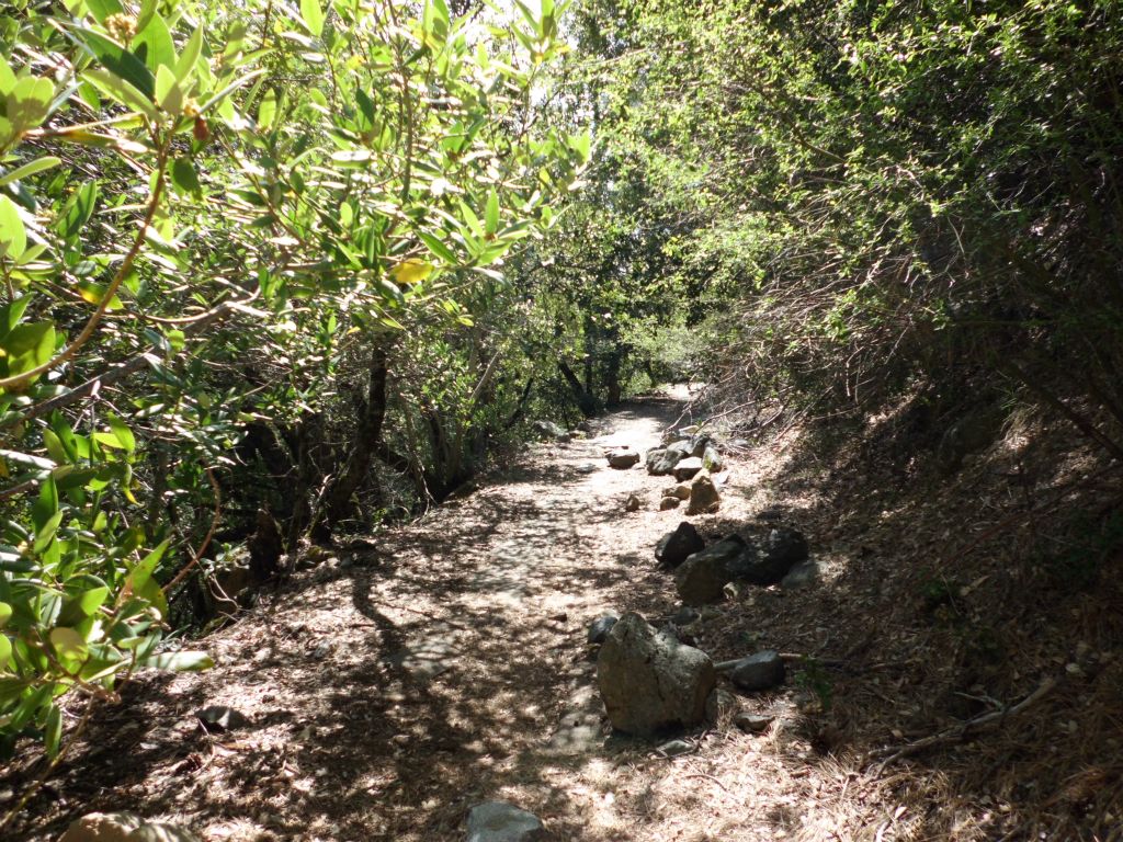 The early portion of the trail before we started hitting washouts one after another was fairly enjoyable and easy to follow: