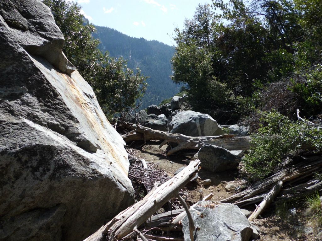 The obstacles on the trail soon became more numerous and quite a bit more challenging: