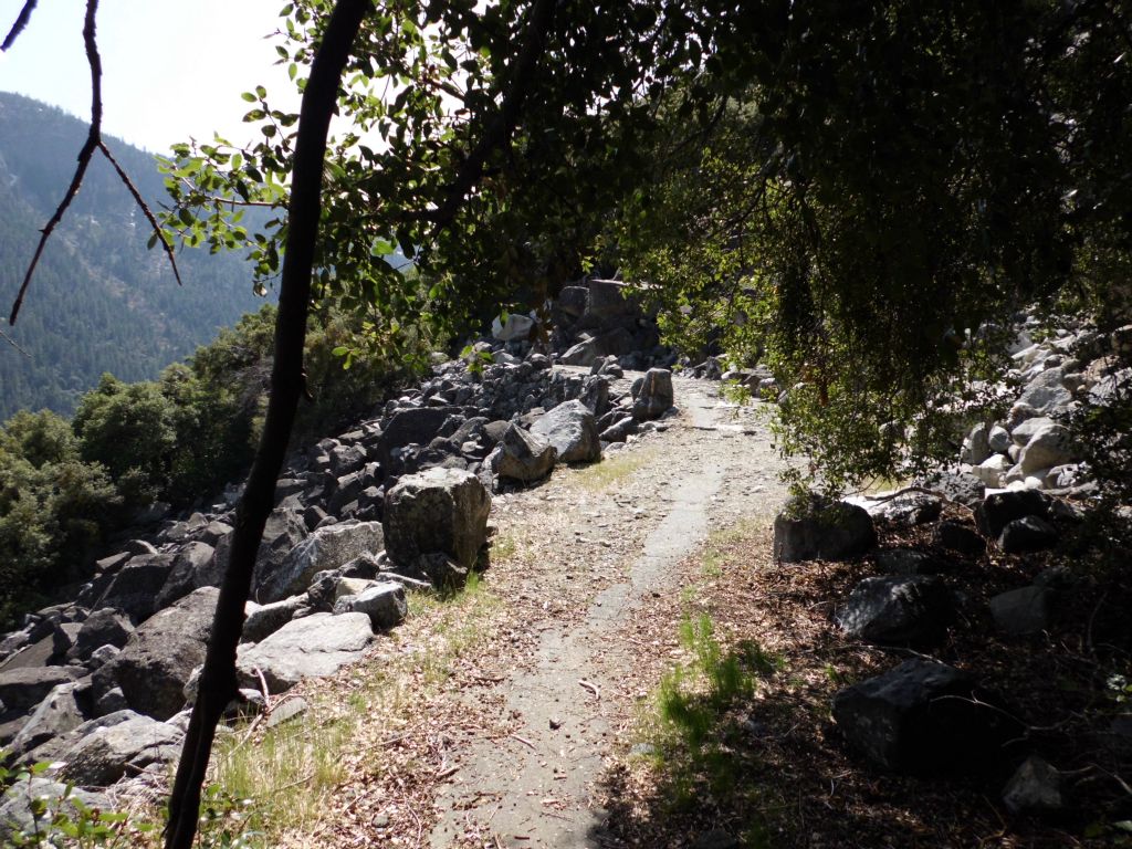 In between sections of rockslides the trail would head back into the forest: